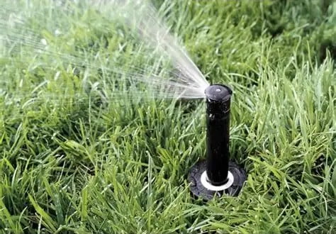 5-Pack 1806 SAM-PRS 6" Pop-Up Sprinkler Pressure Regulation & CV Spray Body