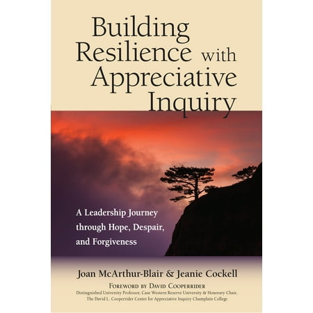 Building Resilience with Appreciative Inquiry ALeadership Journey through Hope Despair and Forgiveness