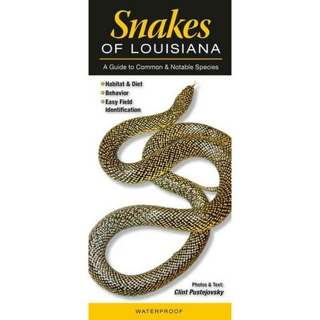 Snakes Of Louisiana A Guide To Common And Notable Species