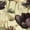 Color 4, variant on Peel and Stick Wallpaper Tulip Bloom Wall Art Featuring Detailed Textures Calm Tones Wall Mural 23.6in x 9.8ft Self Adhesive Removable Renter Friendly Wall Paper Decor for Walls Cabinets Home