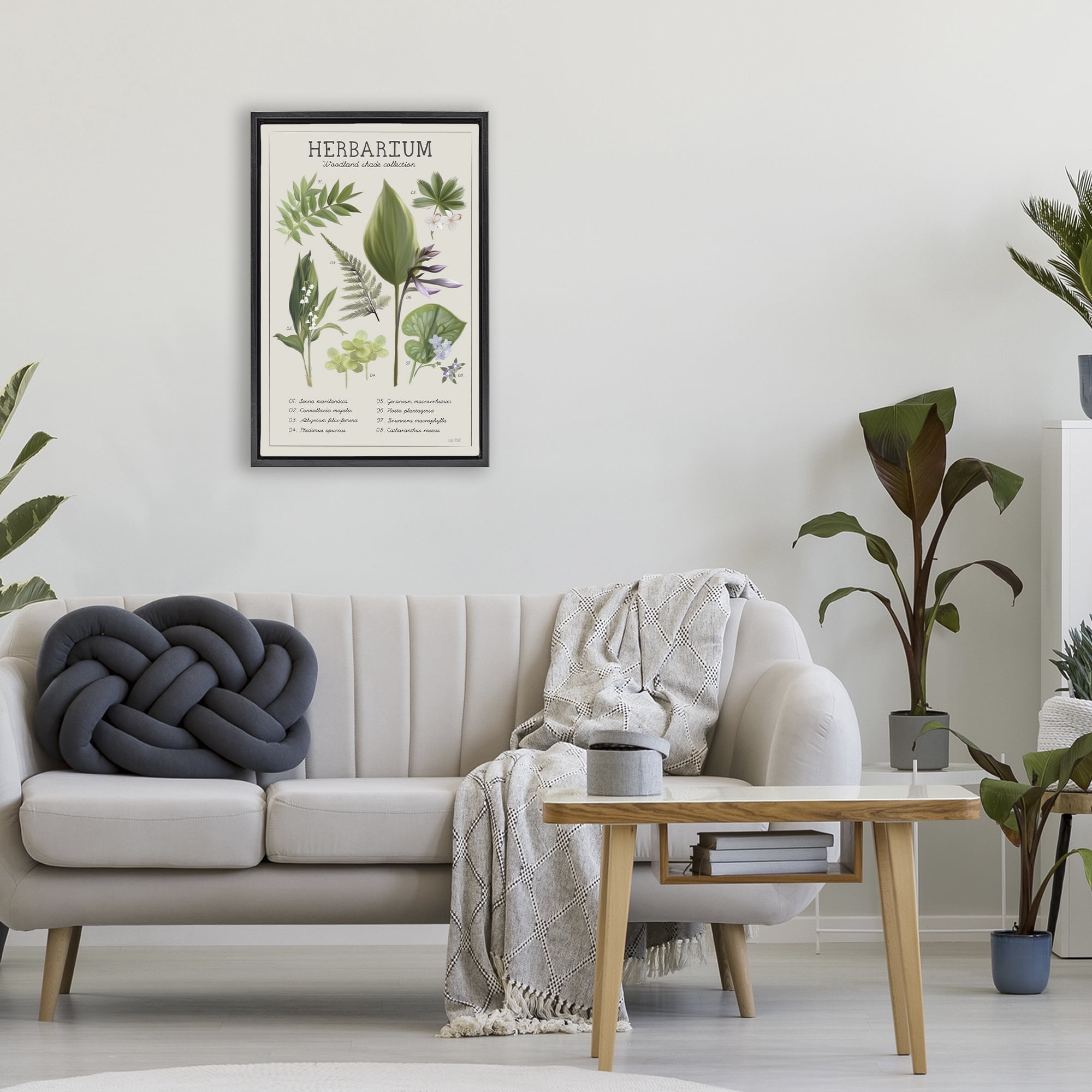 Stupell Industries Herbarium Woodland Shade Collection Black Framed Floater Canvas Wall Art, design by House Fenway