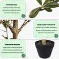 thumbnail image 5 of 7FT Artificial Black Olive Tree with Pot - Realistic Faux Olive Tree for Indoor Home Decor, Low Maintenance Fake Tree for Living Room Corner/Office, 5 of 6