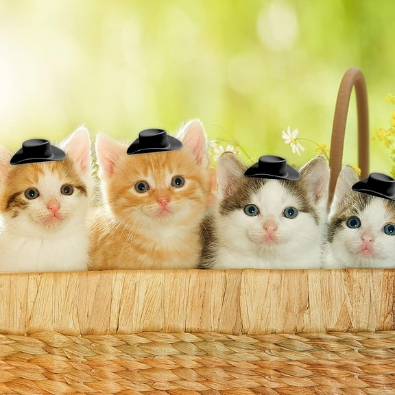 GFHFHITJ Mini Western Cowboy Hat Hat Doll Hat Plastic Cute Doll Hat Party Decoration Accessory