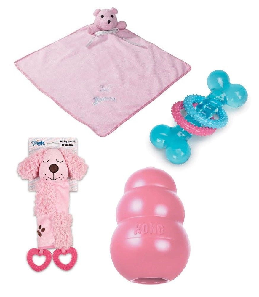 Puppy Dog Toy Kit Teething Dental & Soft Cuddle 4 Piece Pink or Blue