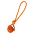 thumbnail image 1 of Bite-Resistant Pet Bouncy Ball, 1 of 11