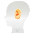 thumbnail image 3 of Molde de exhibición profesional de silicona suave para simulación de modelo de oreja con soporte acrílico para audífonos y pendientes., 3 of 14