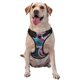 thumbnail image 1 of Fotbe Blue Lipped Pit Viper And Three Pink Roses Arnés para Perro con Estampado –Chaleco Ajustable Acolchado con Asa de Control para Perros Grandes-Medium, 1 of 6