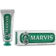 thumbnail image 1 of Pasta de dientes Marvis Menta Fuerte 25 ml Menta Fuerte, 1 of 2