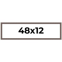 48x12 Frame Silver Real Wood Picture Frame Width 1.25 Inches | Interior Frame Depth 0.5 Inches |