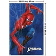 thumbnail image 3 of Marvel Spider-Man: World Of Webs - Posing Wall Poster, 22.375" x 34", 3 of 5