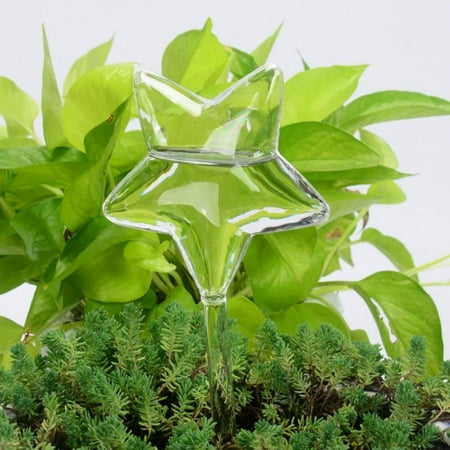 Bird Shape Hand Blown Clear Glass Self Watering Durable Mini Transparent Bird Shape Plant Watering-Siyaglass