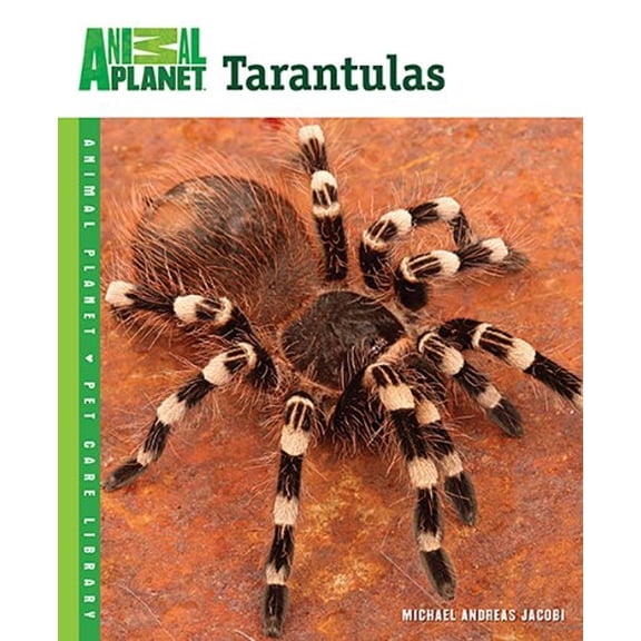 Pre-Owned Tarantulas (Paperback) 0793837103 9780793837106