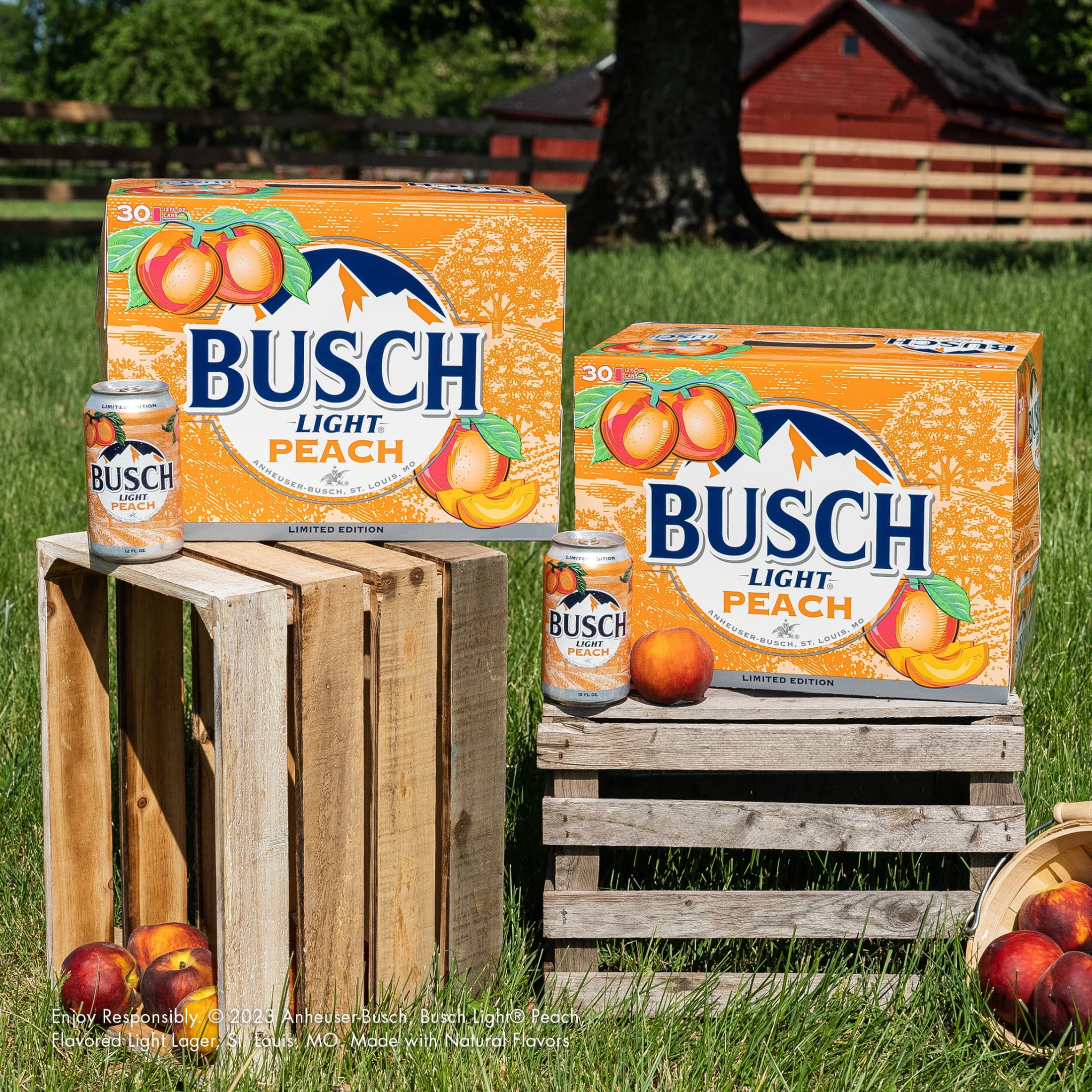 Busch Light Peach American Lager Beer 30 pack 12 fl oz Aluminum Cans 4.1% ABV