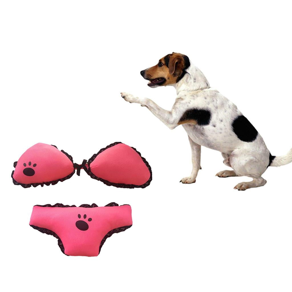 are elevated food bowls better for cats PawsPik Lynx Ceramic Raised Slow Ceramic Dog & Cat Elevated Food Bowl, Quartz Pink