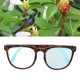 thumbnail image 1 of Gafas Gafas Ciegas Ciegas Rojo Cielo Ciega Corrección de Lentes Portátiles Plegables para Ceguera en color, 1 of 7