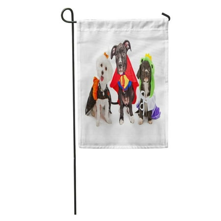 KDAGR Three Cute Little Puppy Dogs Dressed Up in Halloween Costumes Including Witch and Frog Prince Garden Flag Decorative Flag House Banner 28x40 inch