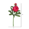 thumbnail image 3 of Vickerman FA174801 Peony X2 Floral Stem  Hot Pink, 3 of 3