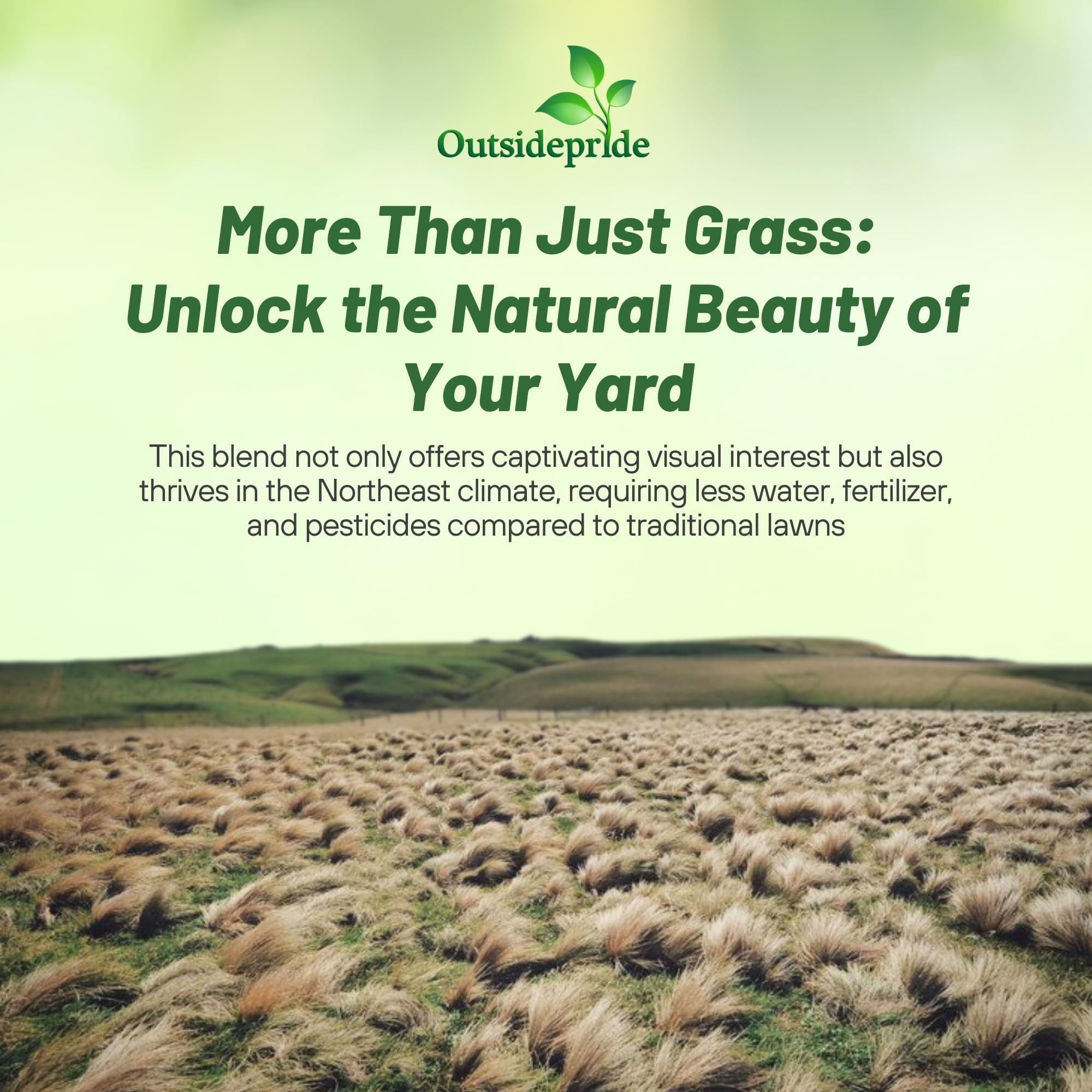Outsidepride 1 lb. Perennial Northeast Native Grass Seed Mix of Warm & Cool Season Grasses