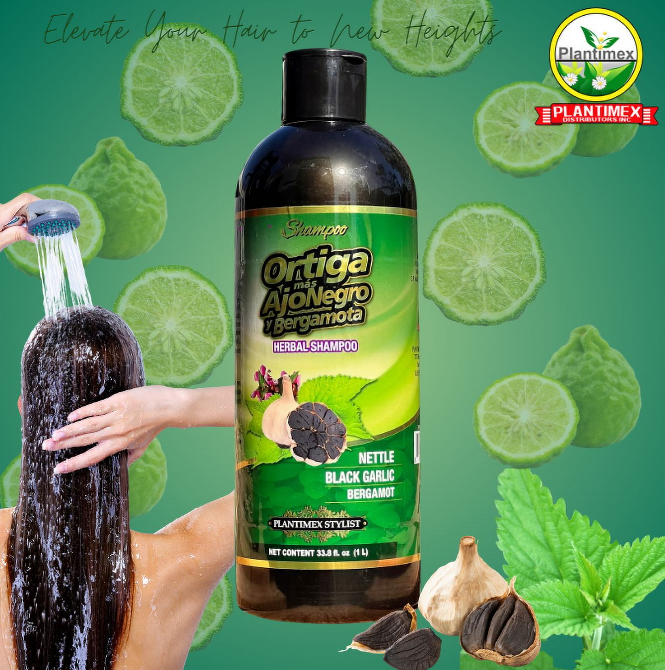 Shampoo Ortiga  Ajo Negro y bergamota