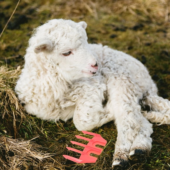 BESTYASH Electric Detachable Sheep Shear Guide in Red for Versatile Trimming and Grooming