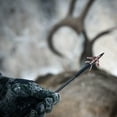 thumbnail image 4 of New Archery Products Spitfire Dbl Cross 100 Crssbws (3Pk), 4 of 7