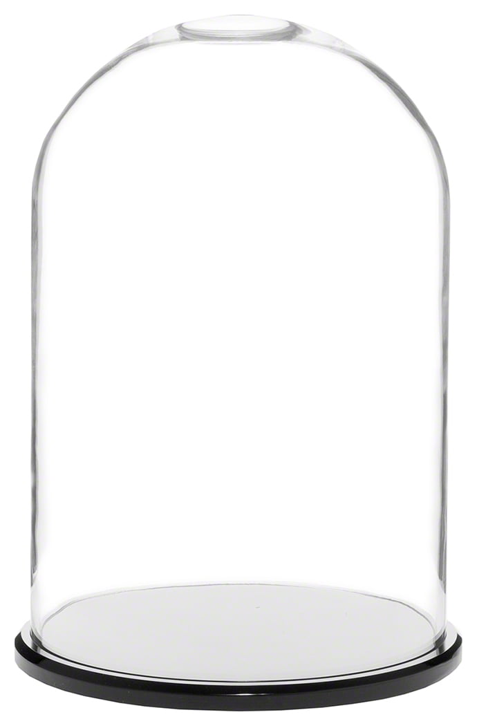 Oak Veneer Base Plymor 5.5 x 13 Glass Display Dome Cloche 