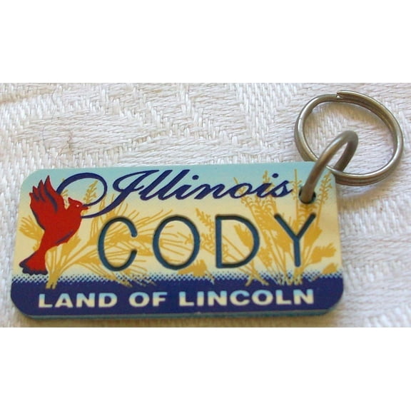 Illinois Land of Lincoln "Cody" Keychain, Key Holder, Key Ring New