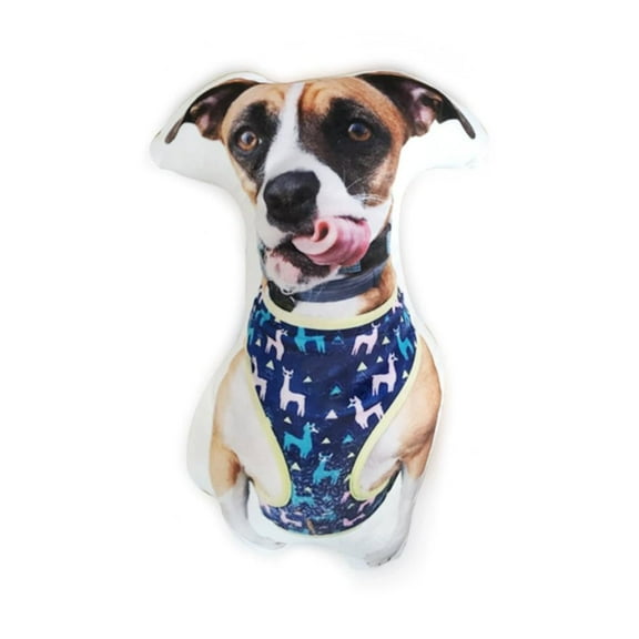 Custom Face Pillow, Custom Plushies with Face Personalized Pillows with Pictures,Personalized Photo Dog Cat Shaped Pillow,3D Printing Double-Sided Pillows Gift for Christmas Valentines
