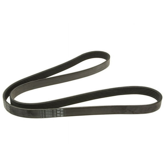 Multi Rib Belt - Compatible with 2013 - 2018 Nissan Altima Sedan 2.5L 4-Cylinder 2014 2015 2016 2017