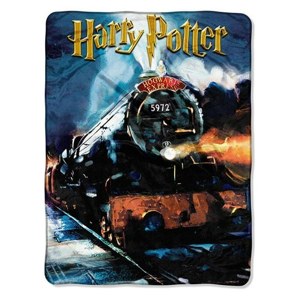 The Northwest Co 1HPT-05900-0008-RET Harry Potter&44; To Hogwarts Micro Raschel Throw