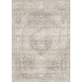 thumbnail image 5 of BERTHMEER 9'x12' Large Area Rugs for Living Room Bedroom Office Indoor Vintage Traditional Distressed Rugs Washable Non-slip,Beige Carpets, 5 of 10