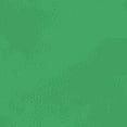 thumbnail image 4 of Playera Blusa De Pitaya Sweet Summer Time – Explosión de Color y Sabor Tropical Color Verde Talla Grande Marca Emil SaEs, 4 of 4