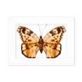 thumbnail image 1 of with Brown Wings Photo Mount Frame Picture Art Painting Desktop 5x7 inch, 1 of 3