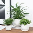 thumbnail image 3 of MyGift Assorted Round White Ceramic Plant Pot (3 Piece), 3 of 6