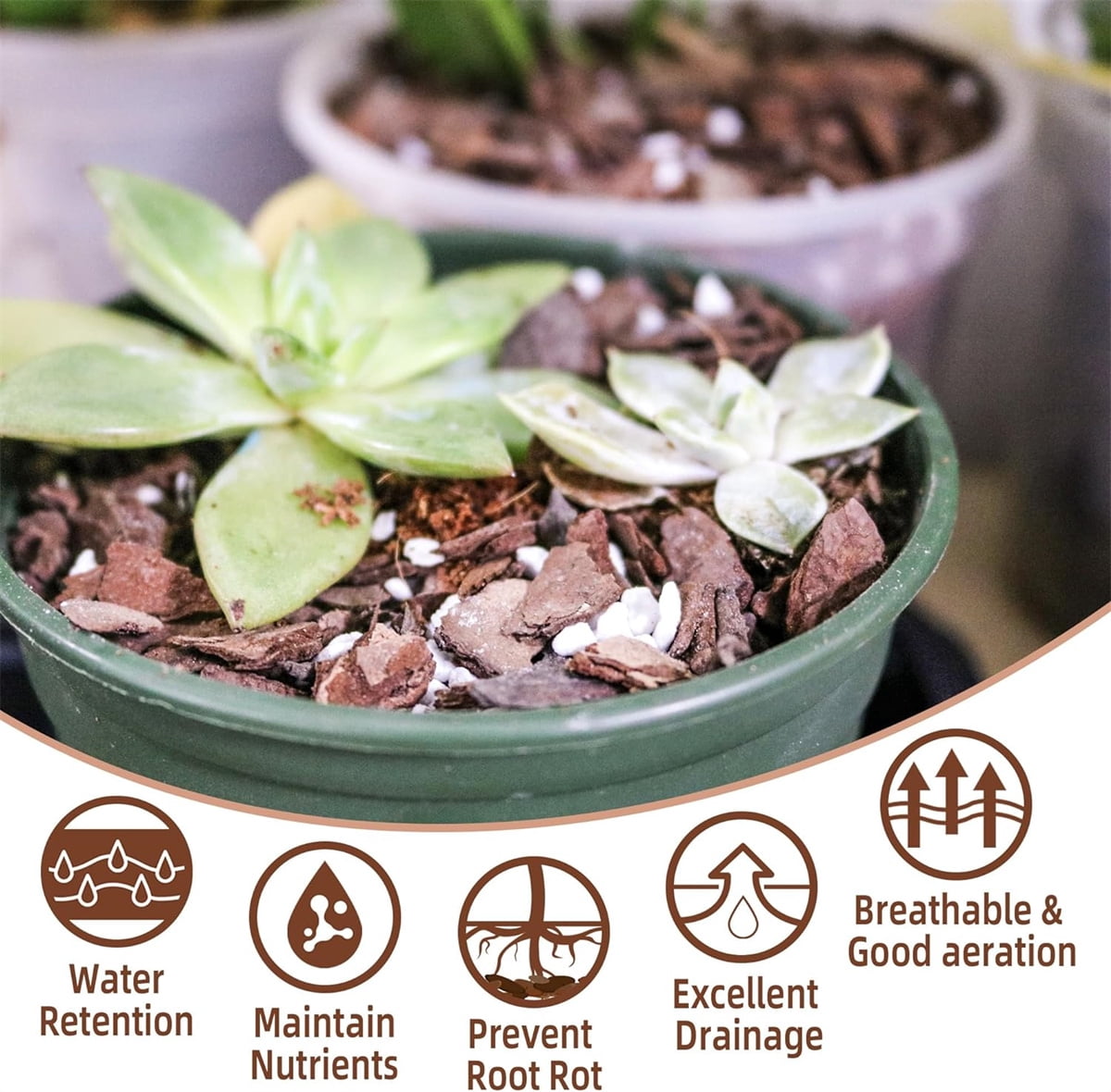 Bexikou 8QT Orchid Potting Mix with Mix Pine Bark & Perlite Stone,Orchid Garden Soil for Root Development, Improve Drainage and Aeration