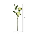 thumbnail image 3 of Vickerman 16" Lime Peony Spray 6/Pk - FV190752, 3 of 3