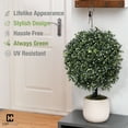 thumbnail image 5 of CAPHAUS Artificial Boxwood Topiary Ball Tree Set of 2, Artificial UV Resistant Bushes, Faux Potted Tree, Plant in Pot w/ Dried Moss, Fake Shrubs for Indoor, Front Porch, Outdoor, w/ Orange Flower, 5 of 9