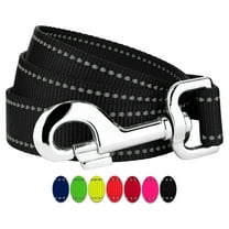 Country Brook Petz - 3/4 Inch Reflective Nylon Dog Leash