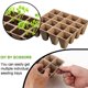 thumbnail image 5 of Paquete De 8 Bandejas De Iniciación De Semillas, 16 Celdas, Maceta De Plántulas, Contenedor De Cultivo De Plantas Multifuncional, Maceta De Jardín Para Plántulas De Granjero Kearding HA027582-02, 5 of 7
