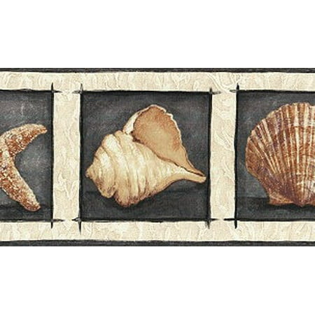 Seashell Border - 878660 Framed Seashells Wallpaper Border KM7916b