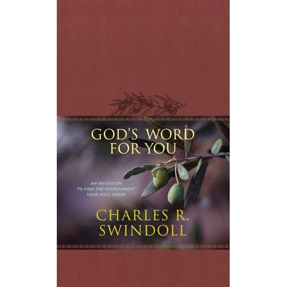 God's Word for You : An Invitation to Find the Nourishment Your Soul Needs (Hardcover)