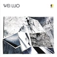 thumbnail image 5 of Wei Luo, 5 of 5