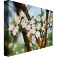 thumbnail image 2 of Trademark Fine Art "Dogwood Tree" Canvas Wall Art by Lois Bryan, 2 of 2
