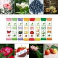 thumbnail image 4 of LeCharm 16-Flavor Tea Mix Pack: Herbal, Black, Green, and Fruit Tea Varieties, 4 of 6