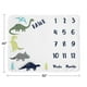 thumbnail image 4 of Manta para Bebé Hito Sweet Jojo Designs 102x127 cm Dinosaurio, 4 of 6