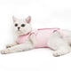 thumbnail image 1 of Ropa para mascotas, traje de esterilización/castración para gatos, traje postoperatorio de destete, traje de recuperación, rehabilitación postoperatoria para madre y gato, 1 Uds., 1 of 5
