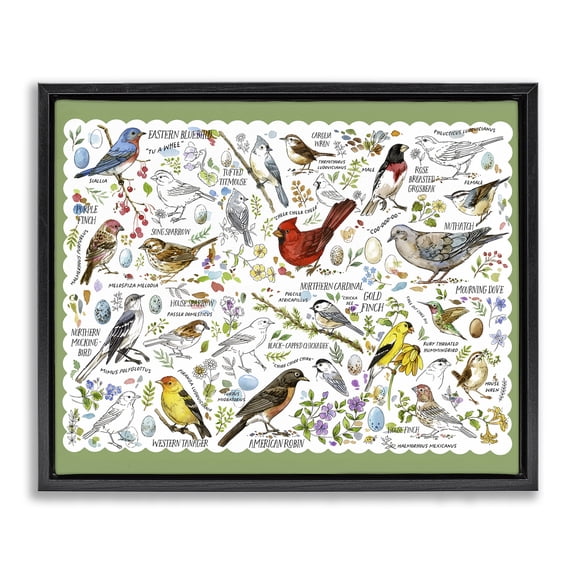 Stupell Industries Various Bird Species Animals & Insects Painting Black Floater Framed Art Print Wall Art, 21 x 17