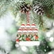 thumbnail image 5 of Fiudx Adorno Navideño Personalizado, Decoración Navideña de Pvc, Diseño Familiar Personalizable, Material Duradero, Ideal para Colgar En El Árbol, Ideal para Regalar, Tamaño 10 Cm, Edición 2021, 5 of 6