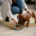 thumbnail image 6 of P.T. Supply Co. Gray Flower Shaped Silicone Pet Bowl, with Non-Slip Suction Base, Durable Feeding Dish for Dogs & Cats, 6 of 6