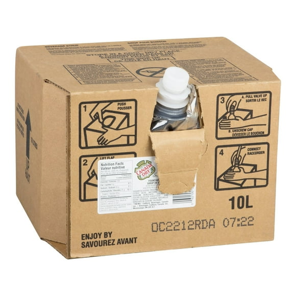 Canada Dry Ginger Ale Soft Drink, Bib | 10L/Unit, 1 Unit/Case